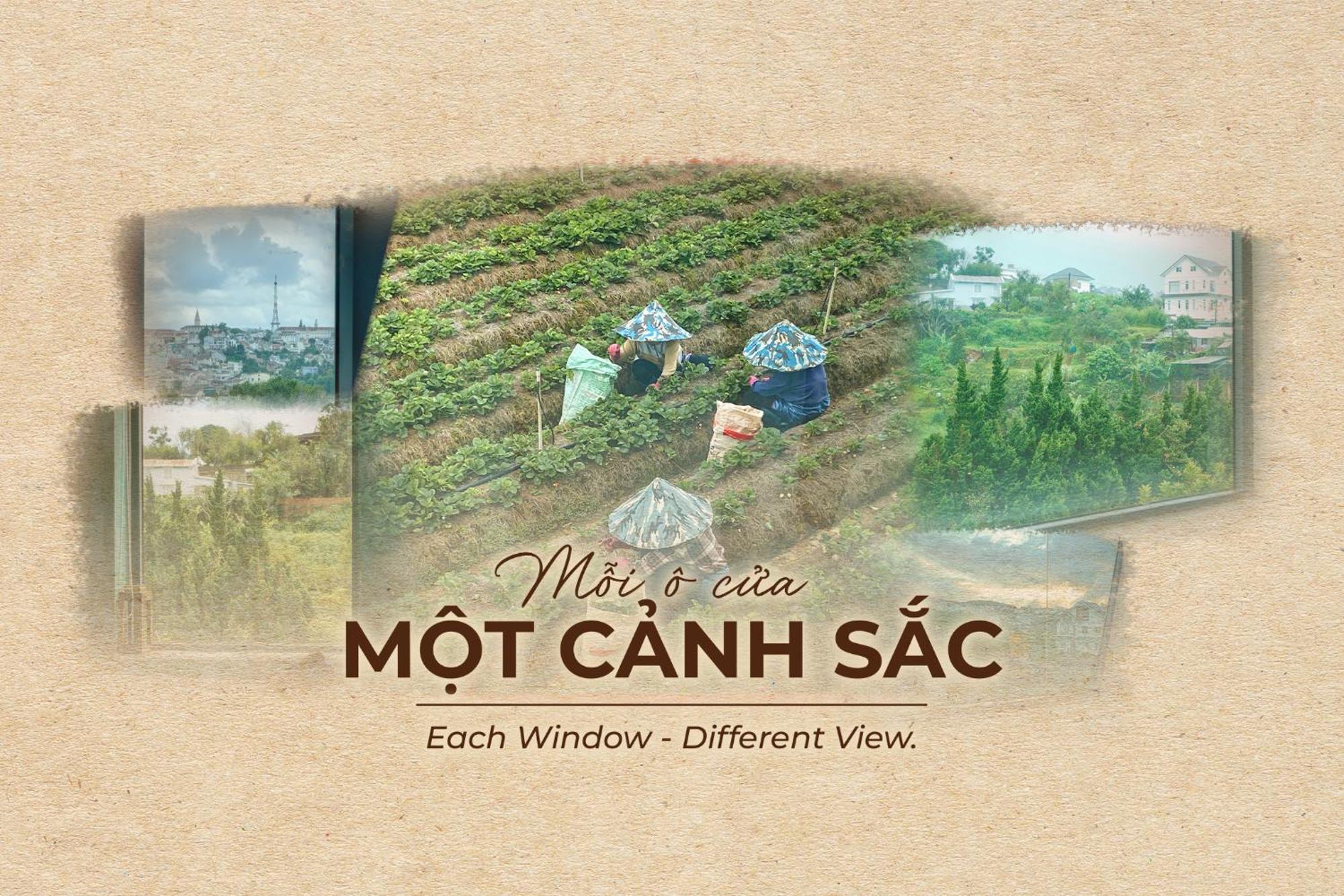 Hanoi Amsterdam Art Studio Далат Экстерьер фото